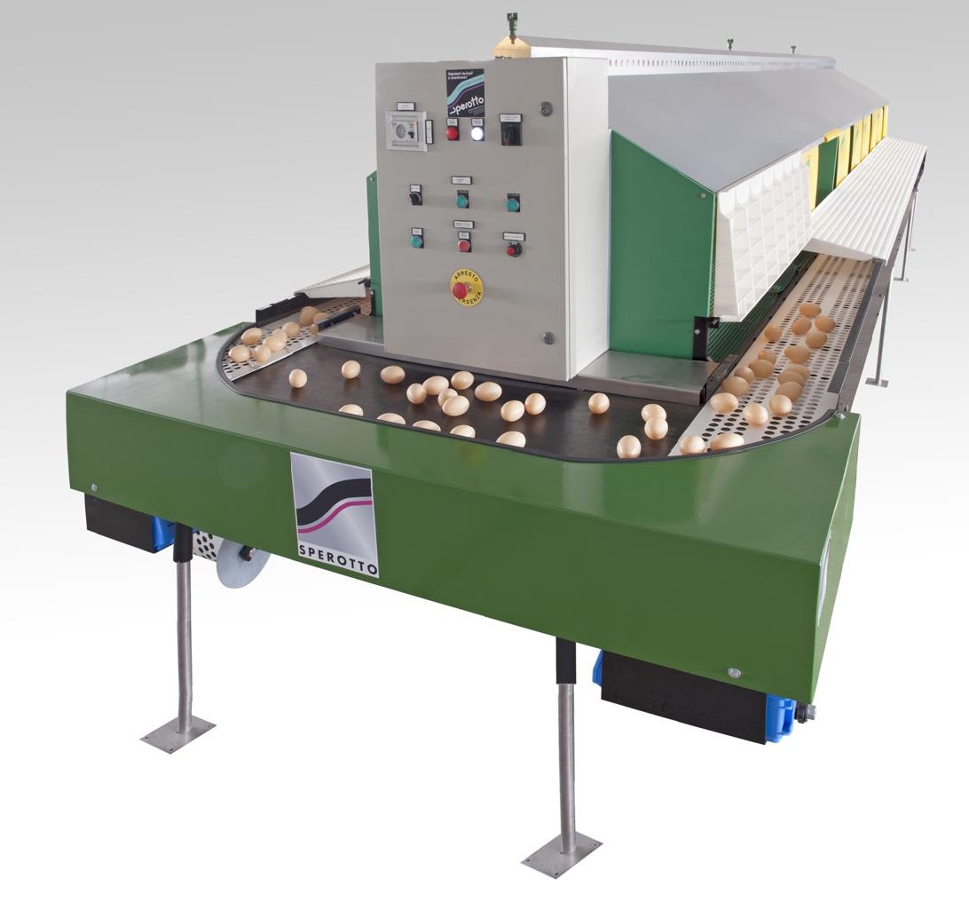 COPELE Nido per galline ovaiole con 4 scomparti, modello Platin incluso,  vassoio raccogli uova : : Commercio, Industria e Scienza